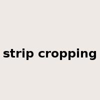 strip cropping是什么意思