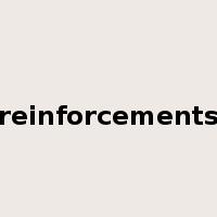 reinforcements是什么意思
