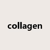 collagen是什么意思