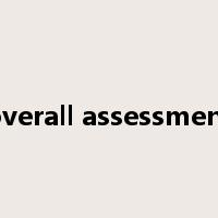 overall assessment是什么意思