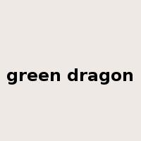 green dragon是什么意思