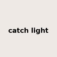 catch light是什么意思