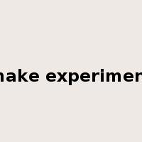 make experiment是什么意思