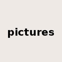 pictures是什么意思