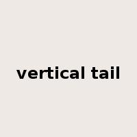 vertical tail是什么意思