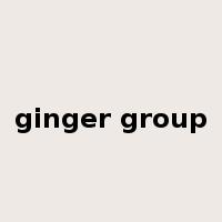 ginger group是什么意思