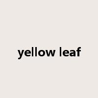 yellow leaf是什么意思