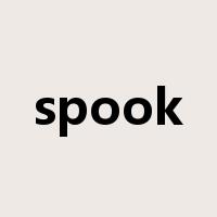 spook是什么意思