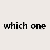 which one是什么意思