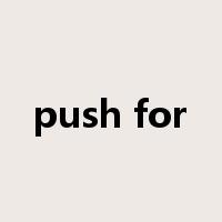 push for是什么意思