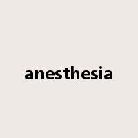 anesthesia是什么意思