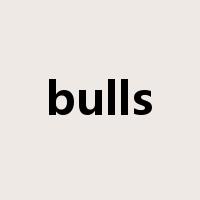 bulls是什么意思