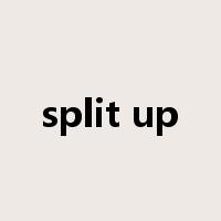 split up是什么意思