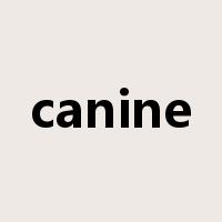 canine是什么意思
