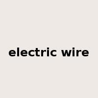electric wire是什么意思