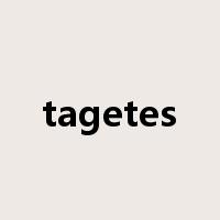 tagetes是什么意思