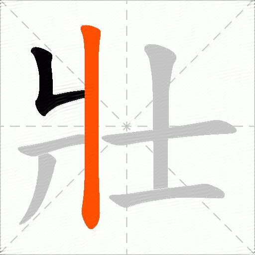 壯