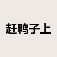 赶鸭子上架是什么意思