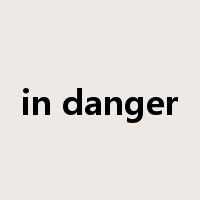 in danger是什么意思