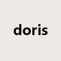 doris是什么意思