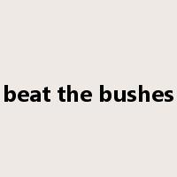 beat the bushes是什么意思