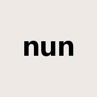 nun是什么意思