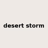 desert storm是什么意思