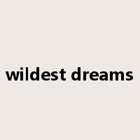 wildest dreams是什么意思