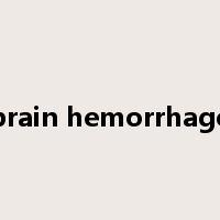 brain hemorrhage是什么意思