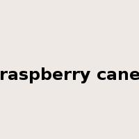 raspberry cane是什么意思