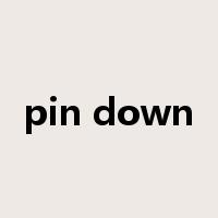 pin down是什么意思