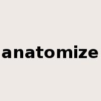 anatomize是什么意思