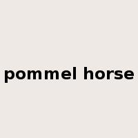 pommel horse是什么意思
