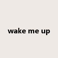 wake me up是什么意思
