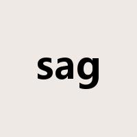 sag是什么意思