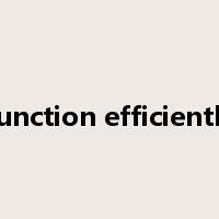 function efficiently是什么意思