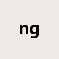 ng是什么意思