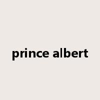 prince albert是什么意思