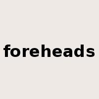foreheads是什么意思
