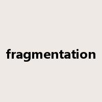 fragmentation是什么意思