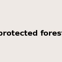 protected forest是什么意思