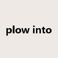 plow into是什么意思
