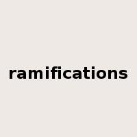 ramifications是什么意思