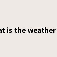 what is the weather like是什么意思
