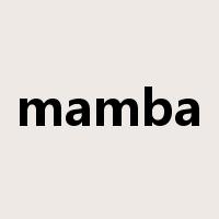 mamba是什么意思