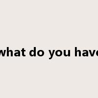 what do you have是什么意思