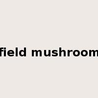 field mushroom是什么意思