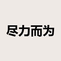 尽力而为是什么意思