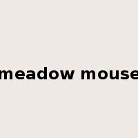 meadow mouse是什么意思