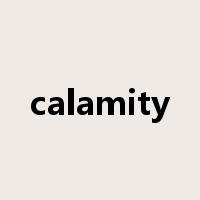 calamity是什么意思